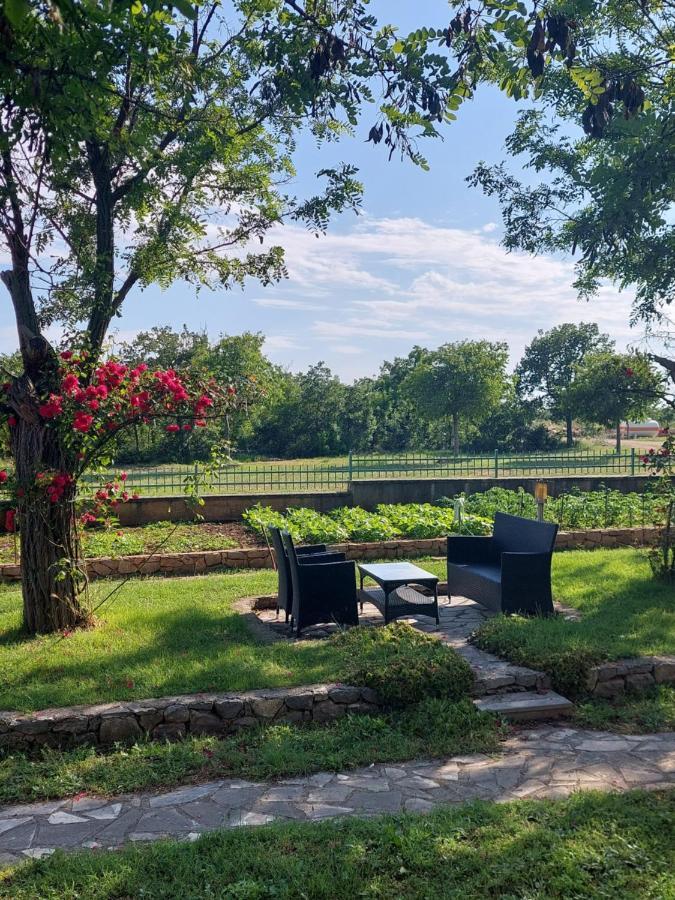Agrotourism Galic Krka Hotel Drinovci Exterior photo