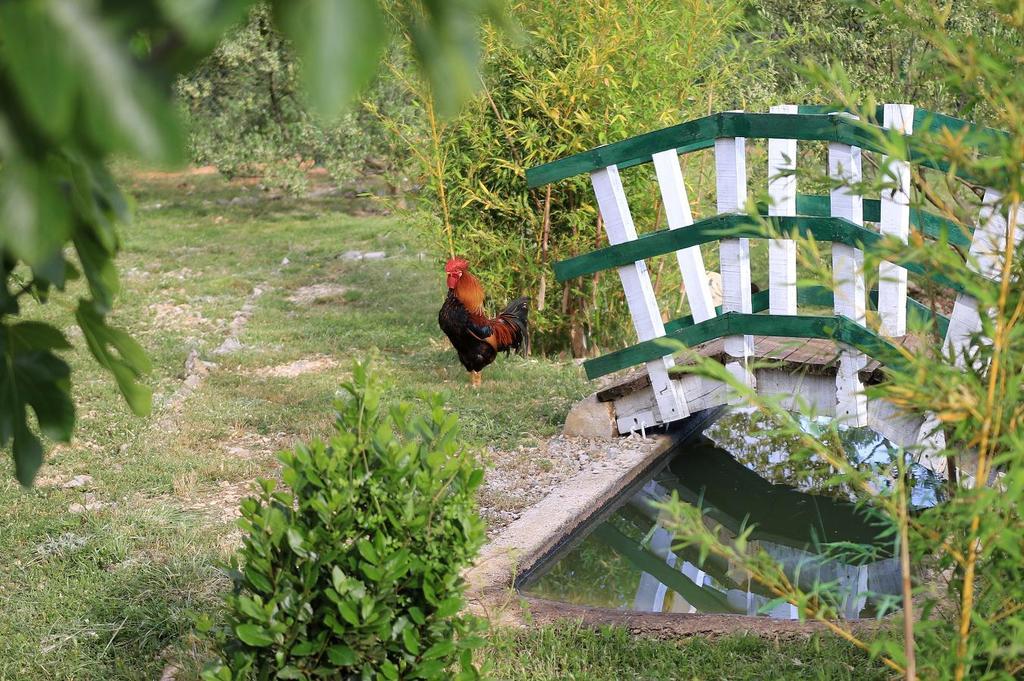 Agrotourism Galic Krka Hotel Drinovci Exterior photo